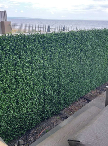 Artificial Boxwood Hedge Wall Panel